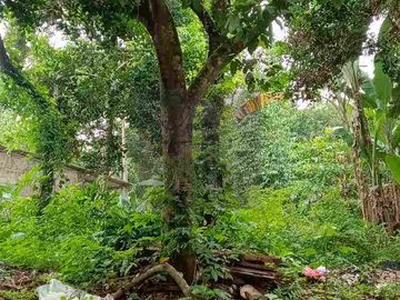 Tanah strategis di cileungsi