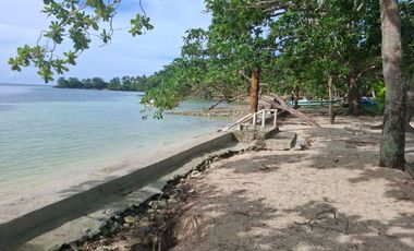White Sand Beach Lot For Sale with House — Camotes Island, Cebu, Philippines