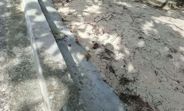White Sand Beach Lot For Sale with House — Camotes Island, Cebu, Philippines