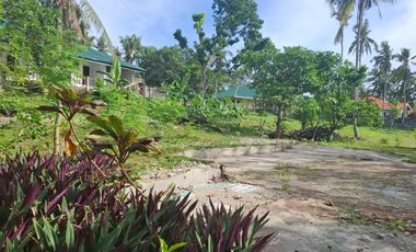 White Sand Beach Lot For Sale with House — Camotes Island, Cebu, Philippines