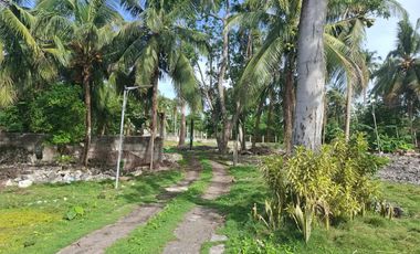 White Sand Beach Lot For Sale with House — Camotes Island, Cebu, Philippines