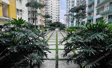 Misibis tower Palm beach west