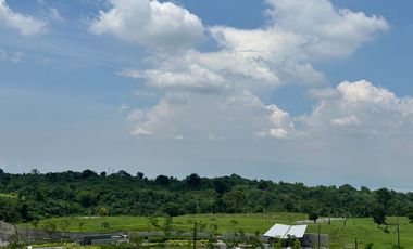Lanewood Hills ₱40k/SQM Prime Lot for Sale in Cavite City