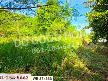WR-874333 Land plot of 39 rai 379.1 sq.wa in Wang Noi, Ayutthaya, near Wang Noi Hospital.