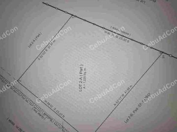 Commercial Lot in Naga Cebu