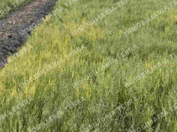 Terreno AIFA 5