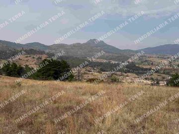 Terreno Laguna de la concepción