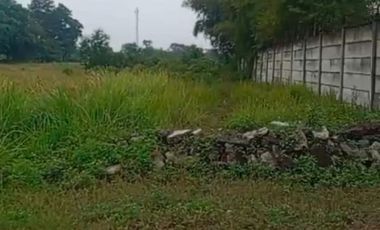 Dijual Cepat Tanah kavling Industri Murah Cikande Siap Bangun