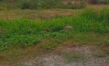 Dijual Cepat Tanah kavling Industri Murah Cikande Siap Bangun