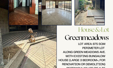 Properties For Sale in Greenmeadows Village, Quezon City