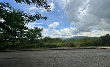 For Sale: 355 sqm Vera Estates Lot