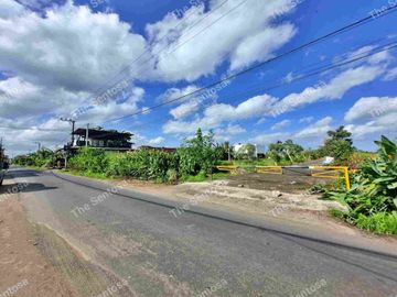 Tanah Pantai Kedungu dekat pantai view sawah lingkungan villa