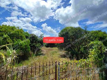43939 Sqm Poultry Farm, San Miguel Bulacan