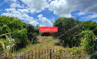 43939 Sqm Poultry Farm, San Miguel Bulacan