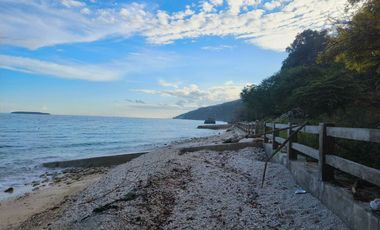 White Sand Beachfront Lot for Sale in Oslob, Cebu