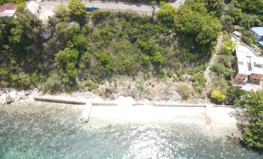 White Sand Beachfront Lot for Sale in Oslob, Cebu
