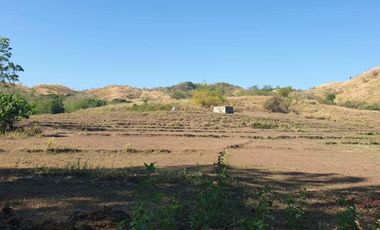 Lot only cemented road titled for Sale in Nueva, Ecija