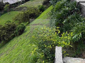 Casa campestre en Urbanización abierta La Ceja