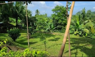 Residential Farm Lot Batangas For Sale