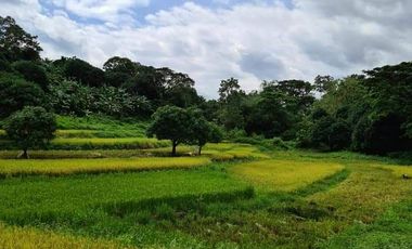 Massive 76,569 sqm. Agricultural Farm Lot for Sale in Bulacan City
