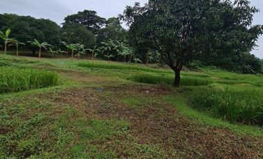 Massive 76,569 sqm. Agricultural Farm Lot for Sale in Bulacan City