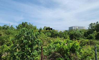 Prime 14-Hectare Property for Sale in Cordova, Lapu-Lapu City