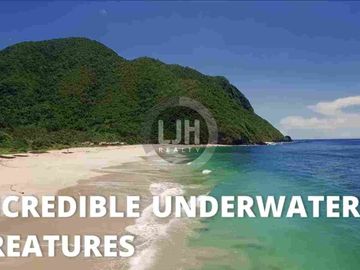 Beach Front Land For Sale at New Eden Sumbawa Indonesia