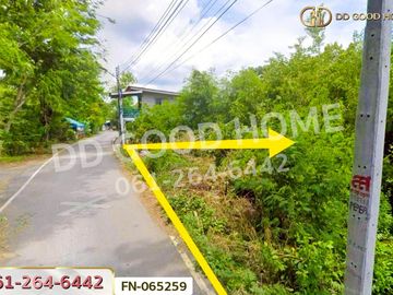 FN-065259 Land for sale in Koh Loi, Phra Nakhon Si Ayutthaya, near Ayutthaya train station.