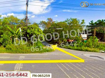 FN-065259 Land for sale in Koh Loi, Phra Nakhon Si Ayutthaya, near Ayutthaya train station.