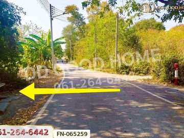 FN-065259 Land for sale in Koh Loi, Phra Nakhon Si Ayutthaya, near Ayutthaya train station.