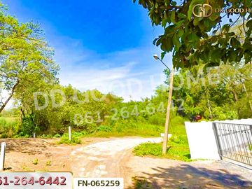 FN-065259 Land for sale in Koh Loi, Phra Nakhon Si Ayutthaya, near Ayutthaya train station.