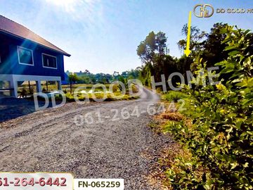 FN-065259 Land for sale in Koh Loi, Phra Nakhon Si Ayutthaya, near Ayutthaya train station.