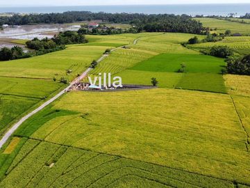 Tanah Murah Beraban Tabanan Bali