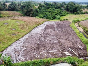 Tanah Murah Beraban Tabanan Bali