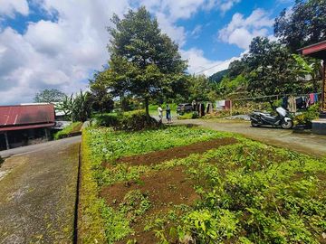 Tanah kemuning area wisata 215m 350jt view istimewa