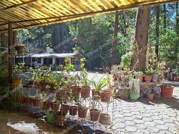 Casa tipo cabaña en renta amueblada
