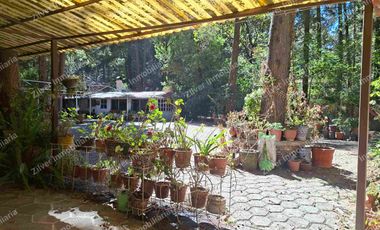 Casa tipo cabaña en renta amueblada