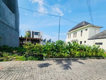 Tanah berawa canggu