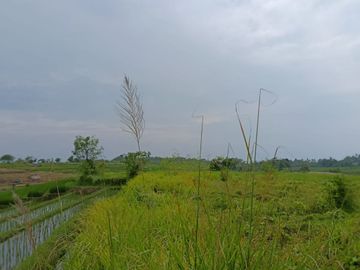 Kesempatan Terbatas! Tanah Kavling Berkualitas di Yeh Gangga Tabanan