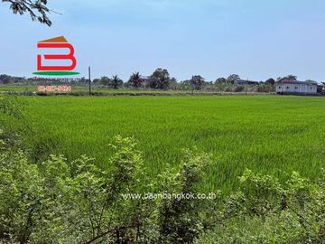 ที่ดินพร้อมบ้าน บ้านเดี่ยวพร้อมที่ดิน ใกล้เซ็นทรัลเวสต์เกต เนื้อที่ 4 ไร่ตำบลบางแม่นาง อำเภอบางใหญ่ จังหวัดนนทบุรี
