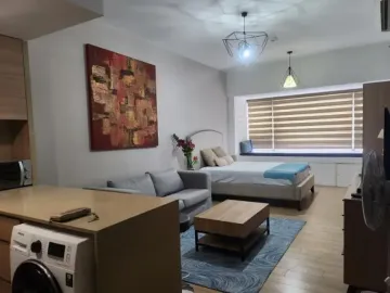 Park Terraces Unit for Sale Ayala Center Makati