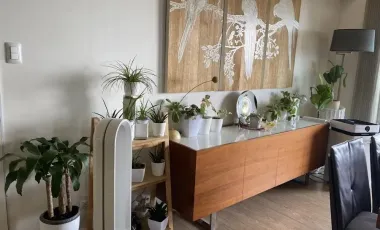 The Suites at One Bonifacio High Street For Sale and For Rent