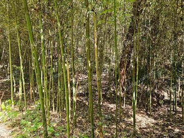 Venta  de  Terreno  ideal para Inversionistas