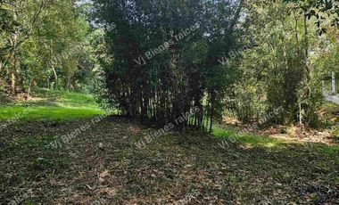 Venta  de  Terreno  ideal para Inversionistas