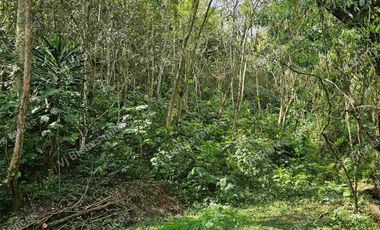 Venta  de  Terreno  ideal para Inversionistas