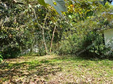 Venta  de  Terreno  ideal para Inversionistas