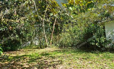 Venta  de  Terreno  ideal para Inversionistas
