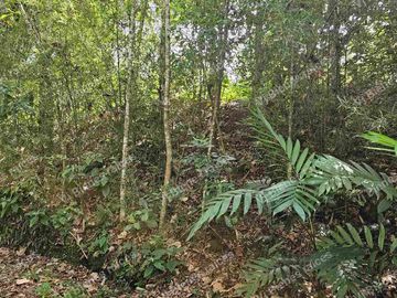 Venta  de  Terreno  ideal para Inversionistas