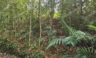 Venta  de  Terreno  ideal para Inversionistas