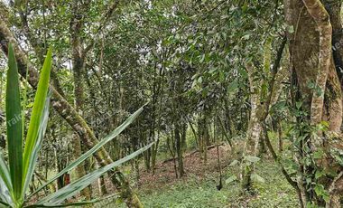 Venta  de  Terreno  ideal para Inversionistas